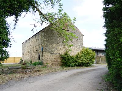 Picture 8
